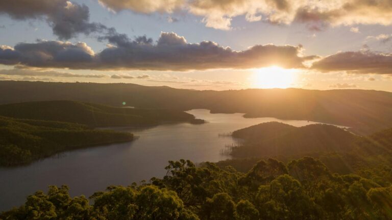 Water, trees and the sun