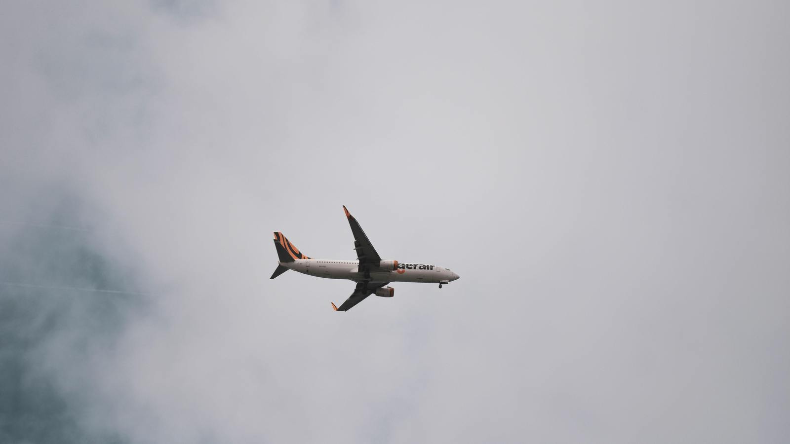 Airplane on the fly
