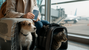 Traveling with pets